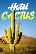 Cactus Hotel