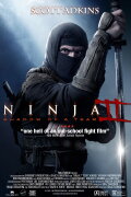 Ninja: Shadow of a Tear
