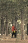The Path