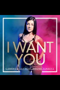 I Want You, Cameron Jay ft Sound Junkeyz