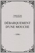 Lyon: Débarquement d'une mouche