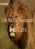 Life on the Savannah: Big Cats