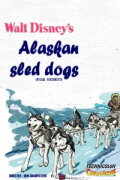 Alaskan Sled Dog