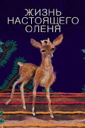 The Life of a Real Deer
