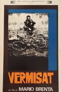 Vermisat