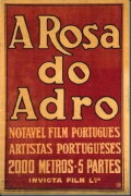 A Rosa do Adro