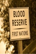 Bloodland