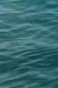 Waveforms