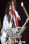 Aerosmith Live in Detroit