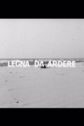 Legna da ardere