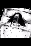 A Spider Dream