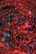Cytolon