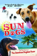 Sun Dogs