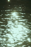 On homes and the telluric