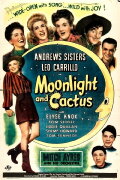 Moonlight and Cactus