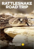 Rattlesnake Road Trip