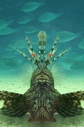 Careless Reef part 4: Marsa Abu Galawa