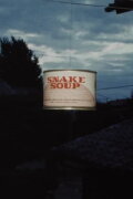 Snake Soup
