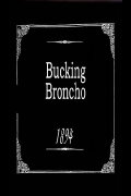 Bucking Broncho
