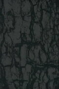 Dir En Grey - Tour 14 Psychonnect - Mode Of 