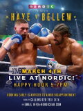 David Haye vs. Tony Bellew