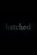 Hatched