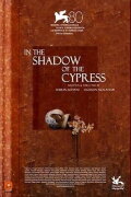 In the Shadow of the Cypress