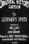 The Leopard's Spots