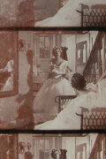 The Ballet’s Prima-donna