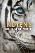 India's Wild Beauty