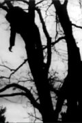 Fragments