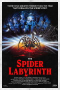 The Spider Labyrinth