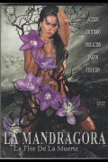 La Mandrágora