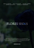 Dry Flowers