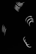 Dancing Lines