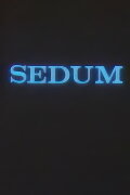The Seven