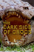 Dark Side of Crocs