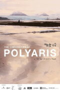 The Chronicles of Polyaris