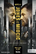 UFC 295: Prochazka vs. Pereira