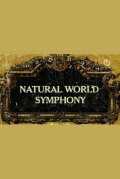 Symphony