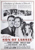 Son of Lassie