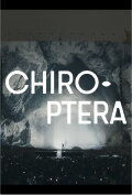 CHIROPTERA