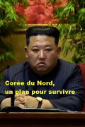 North Korea: A Plan to Survive
