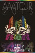 AAA TOUR 2013 Eighth Wonder