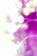 gestures toward Plant Vision