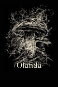 Olanda