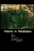 Visions in Meditation