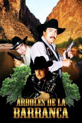 Árboles de la barranca