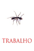 TRABALHO