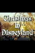 Christmas in Disneyland